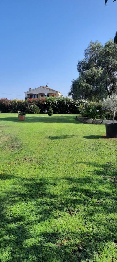 Le Jardin De Domi