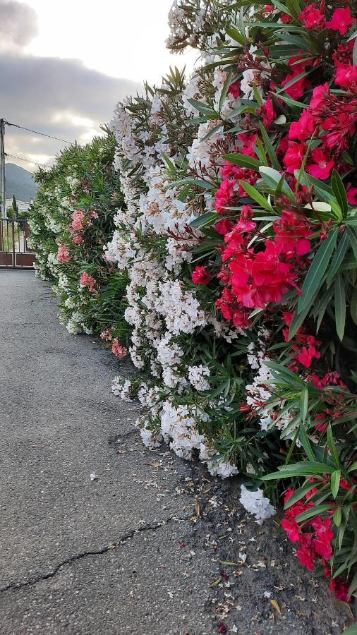 Le Jardin De Domi * Ventiseri