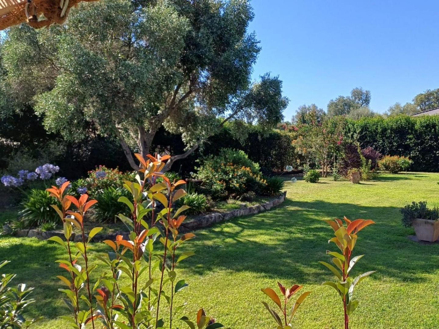 Le Jardin De Domi Apartment Ventiseri